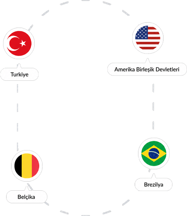 AKTÜRK VİZE Ülkeler